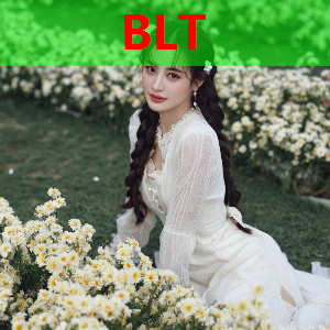 妖精治愈2